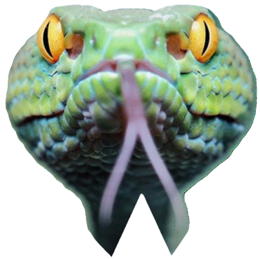 snakes